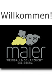 Willkommen bei Familie Urs Maier Iselisberg. Schafskse, Schafzucht, Schafmilch, Schafe, Milchschaf, Wein, Weinbau.